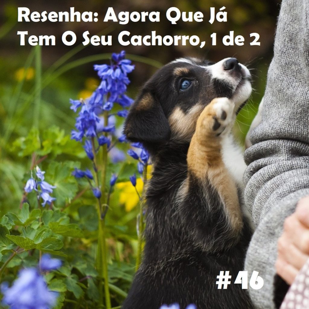 Meu Nome Não É Não