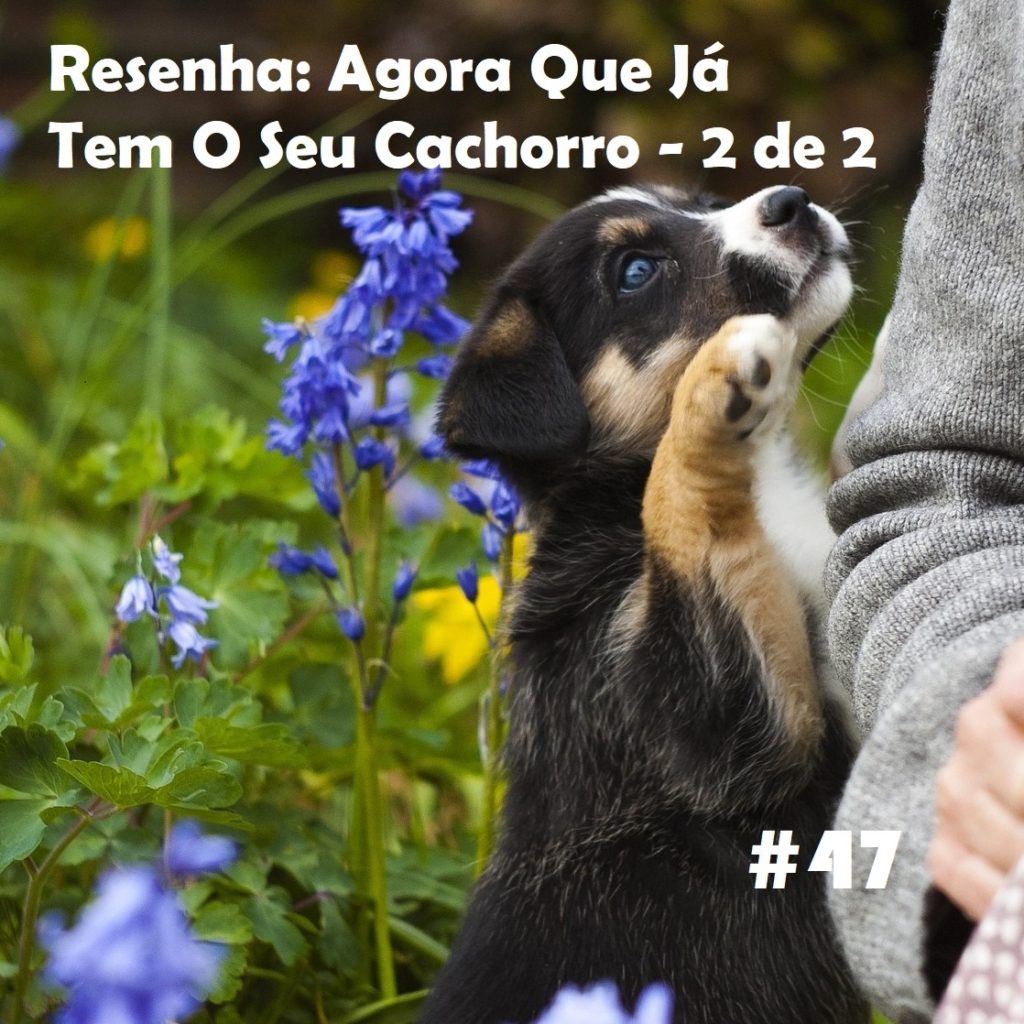 Meu Nome Não É Não