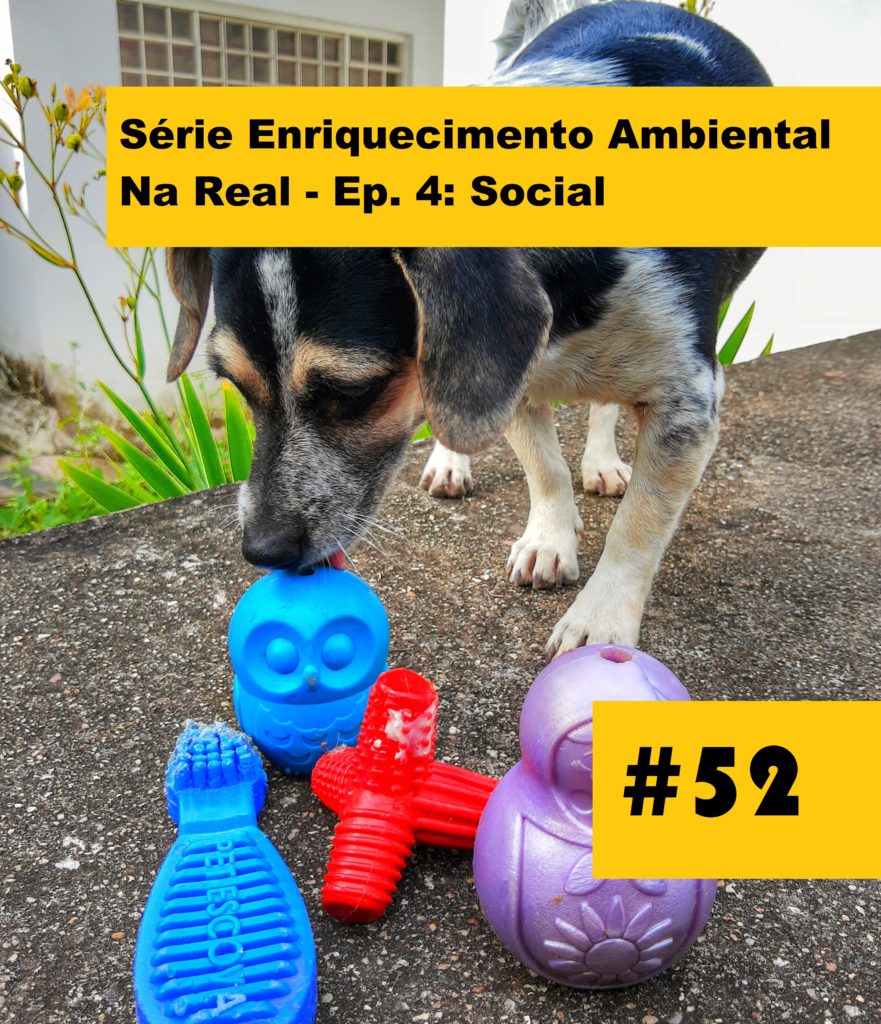Meu Nome Não É Não