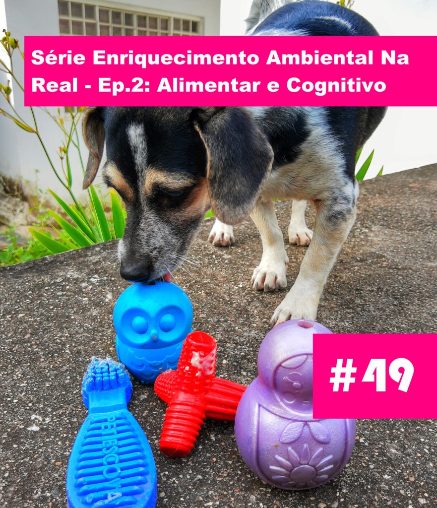 Meu Nome Não É Não