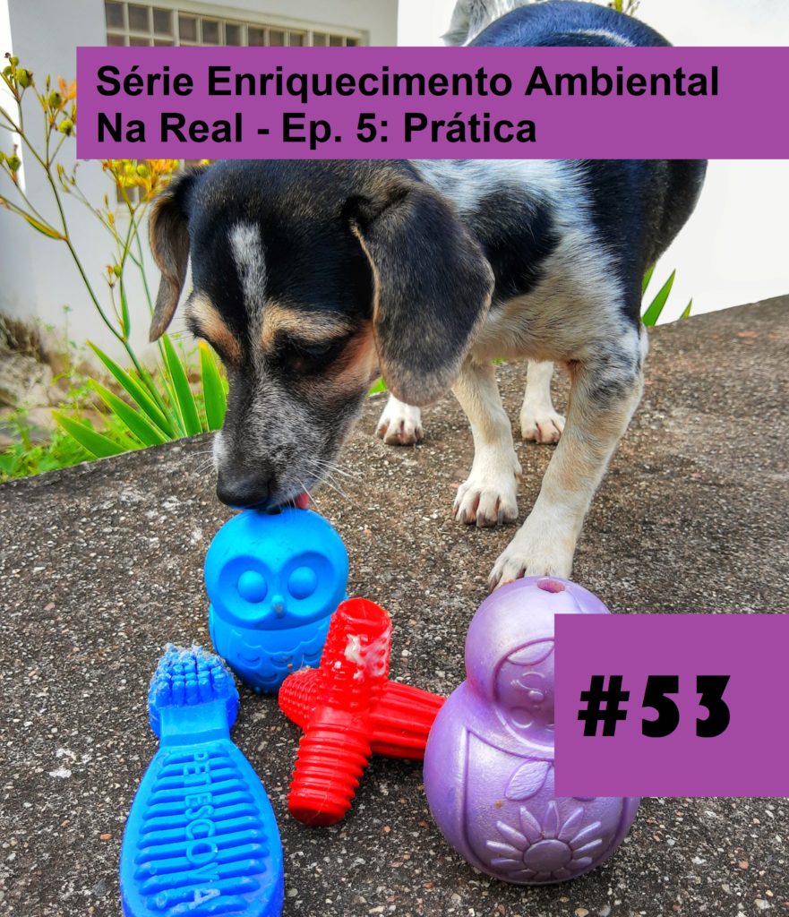 Meu Nome Não É Não
