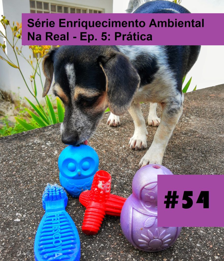 Meu Nome Não É Não