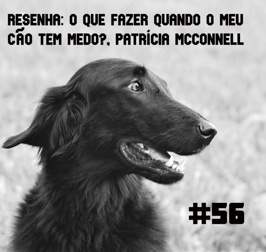 Meu Nome Não É Não