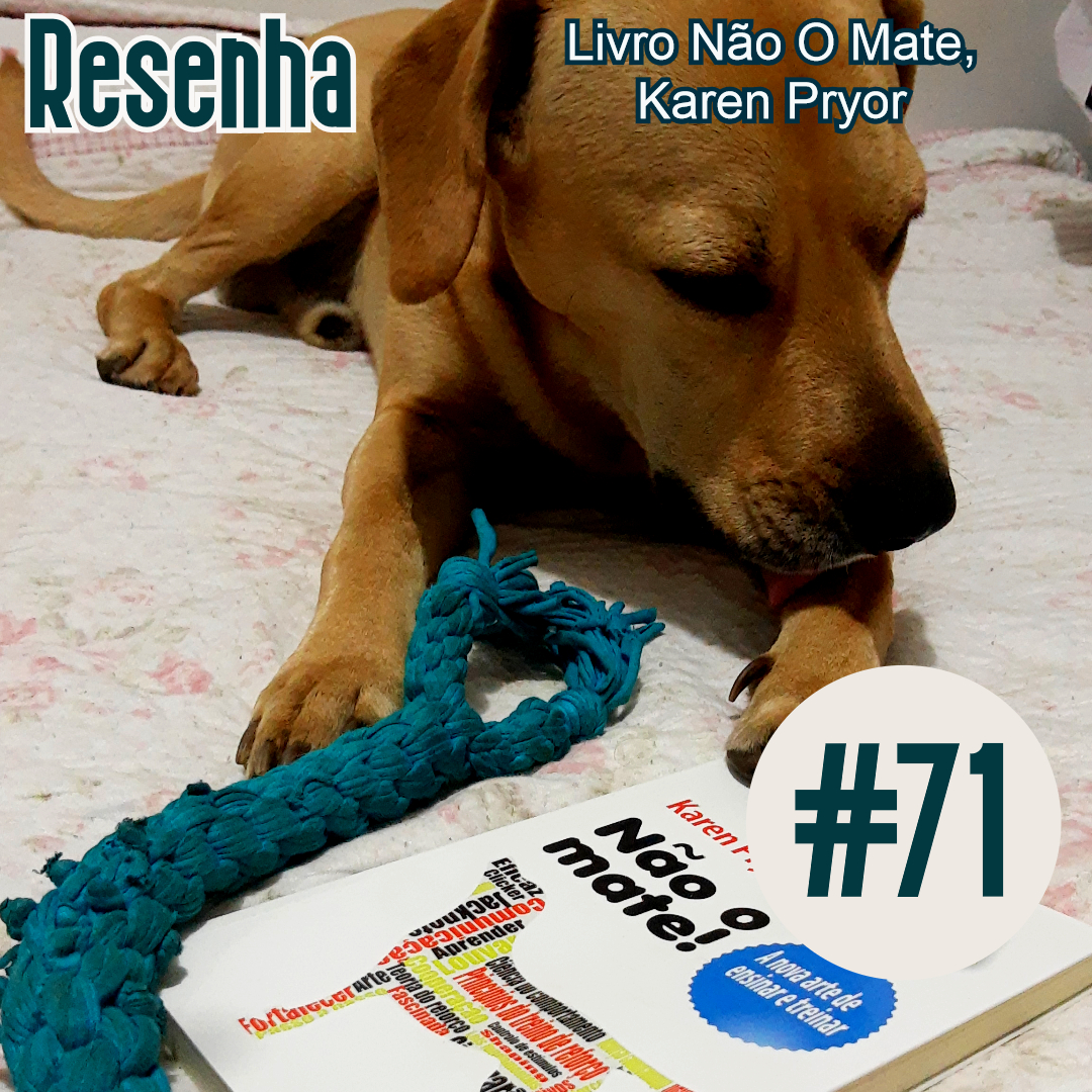 Meu Nome Não É Não