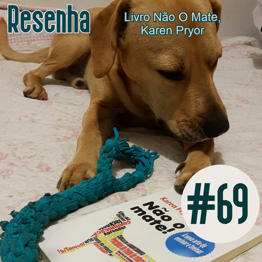 Meu Nome Não É Não