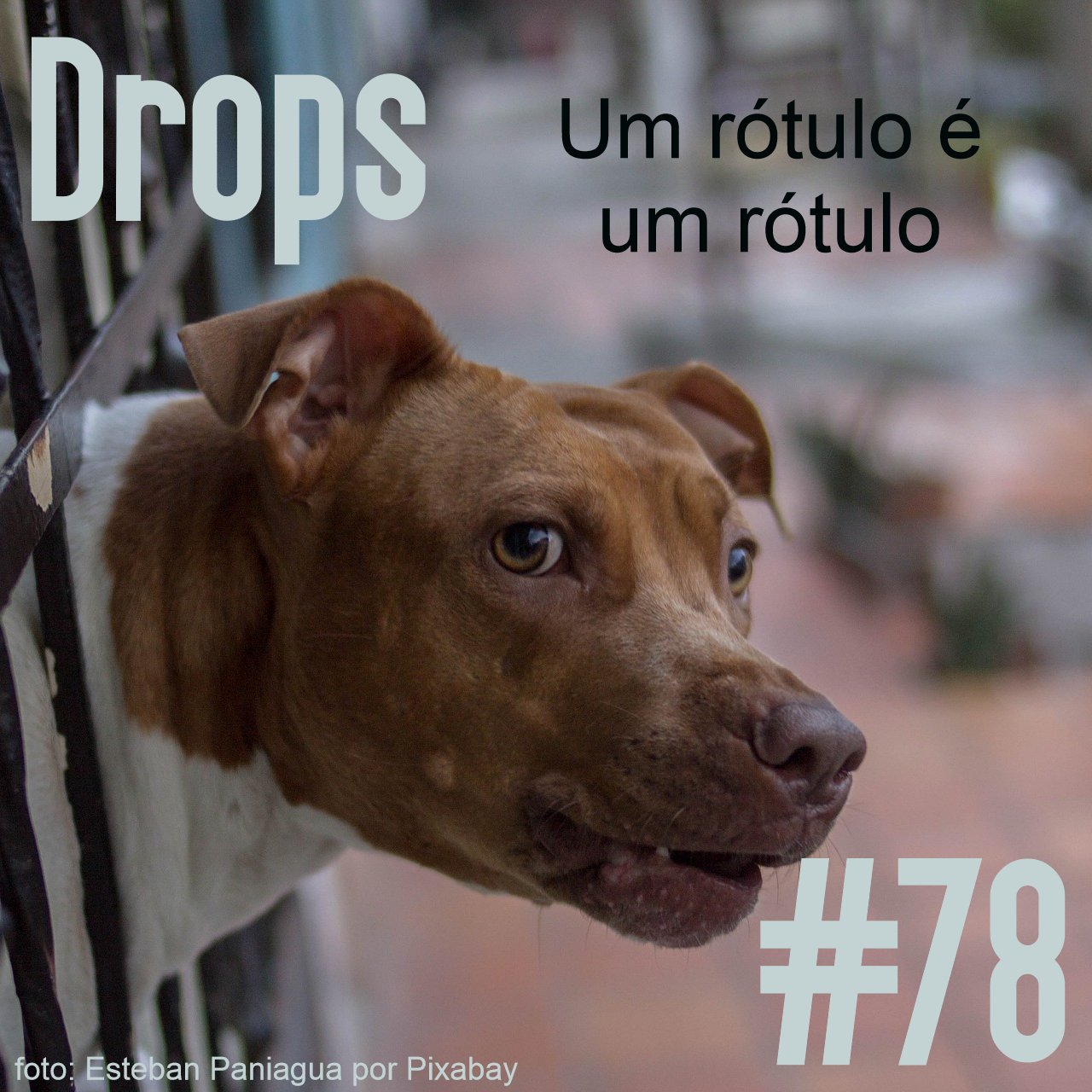 Meu Nome Não É Não