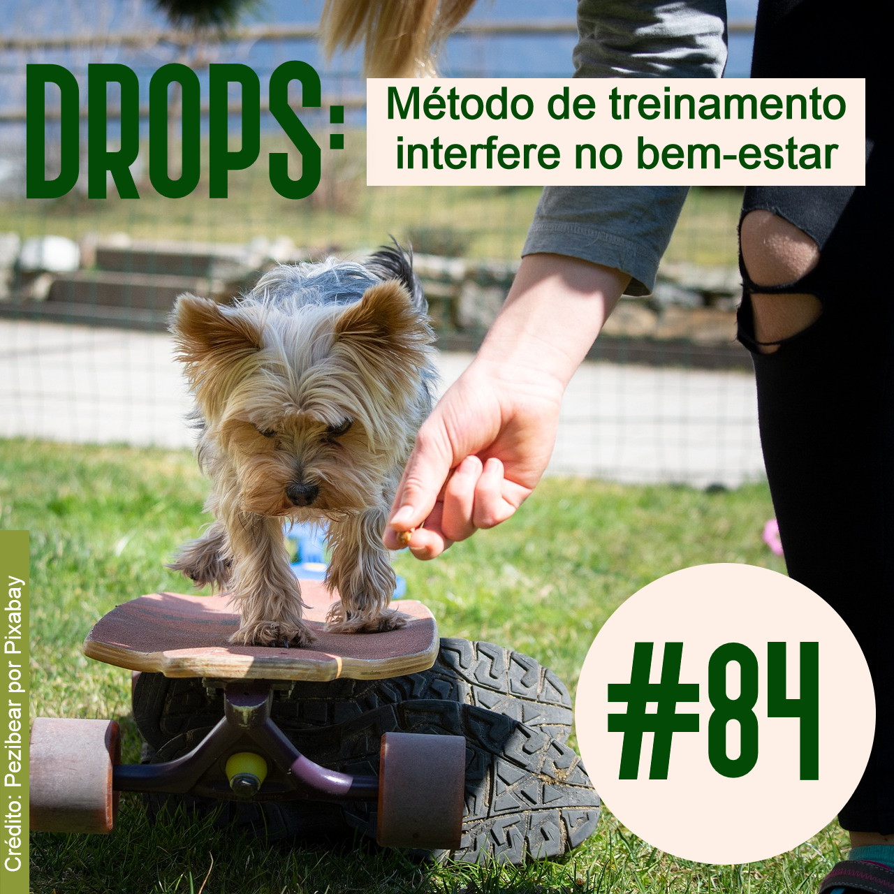 Meu Nome Não É Não