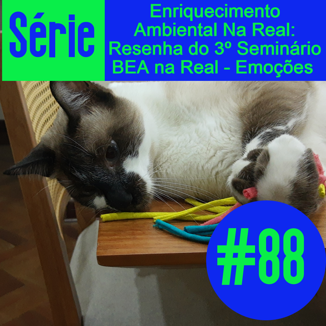Meu Nome Não É Não