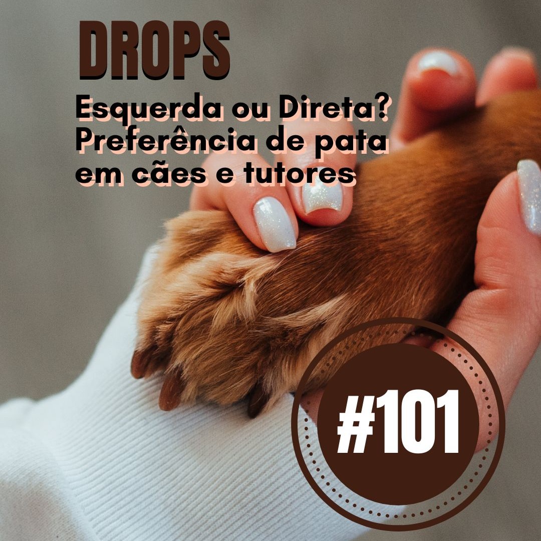 Meu Nome Não É Não